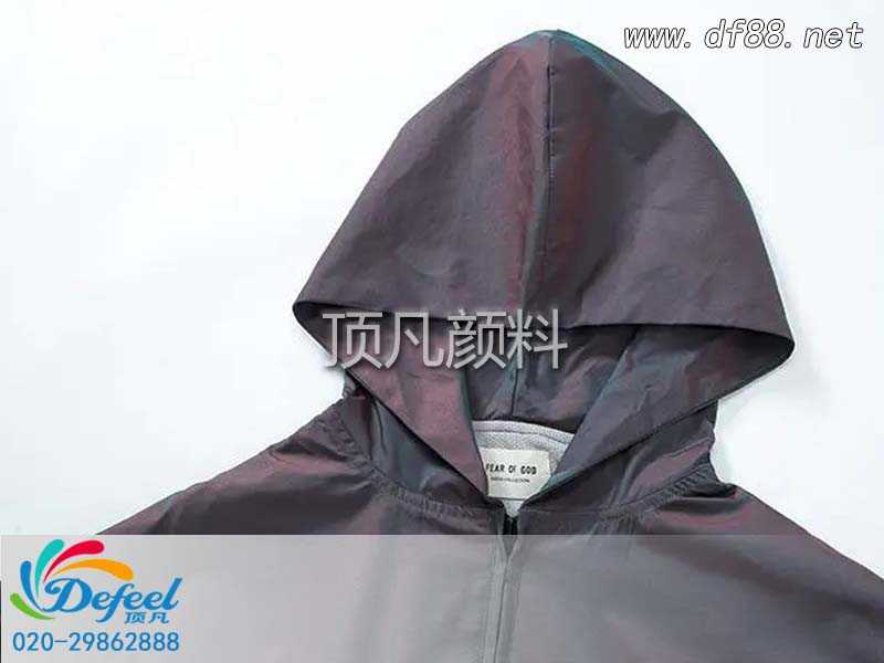 變色龍服裝印花